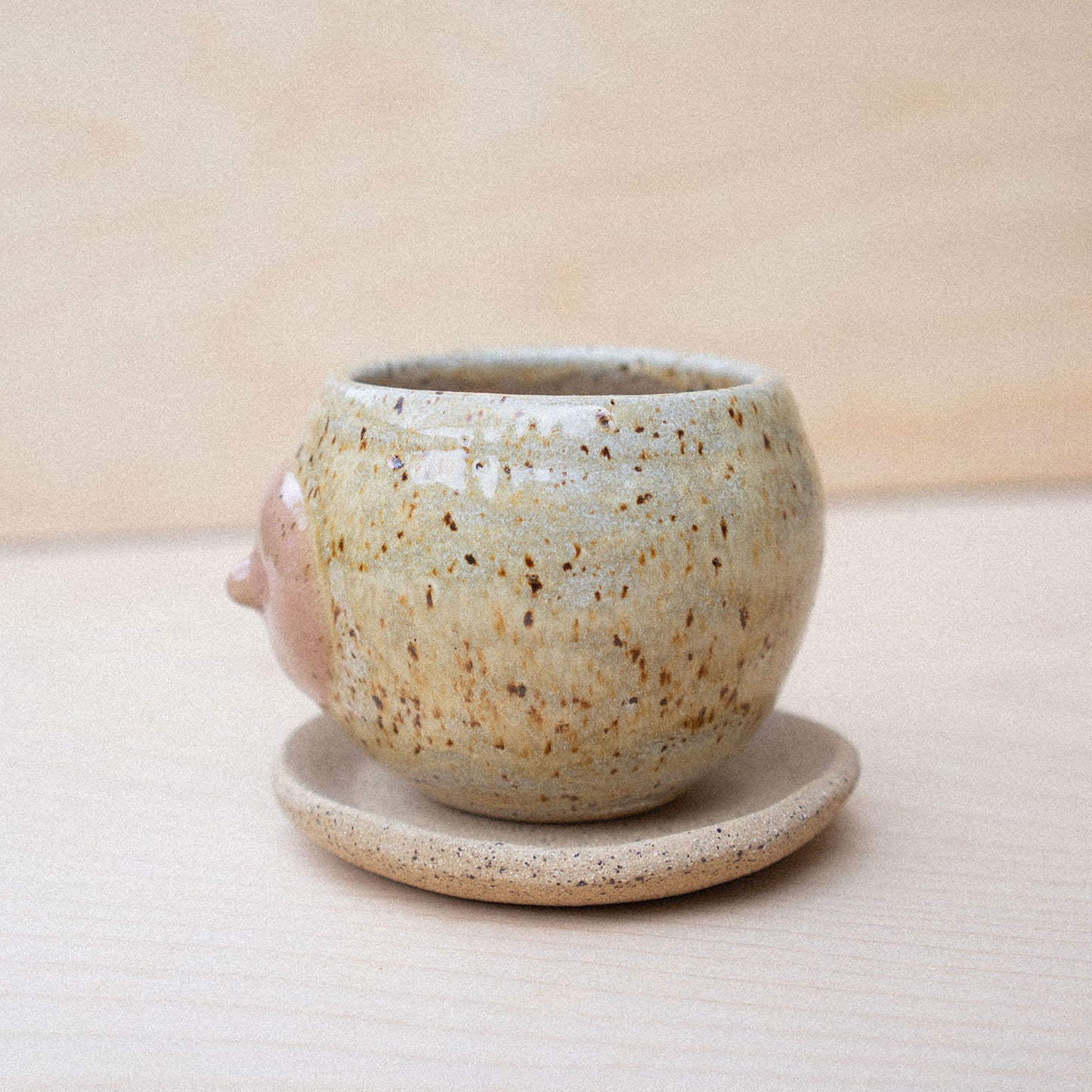 itty bitty titty planter 01