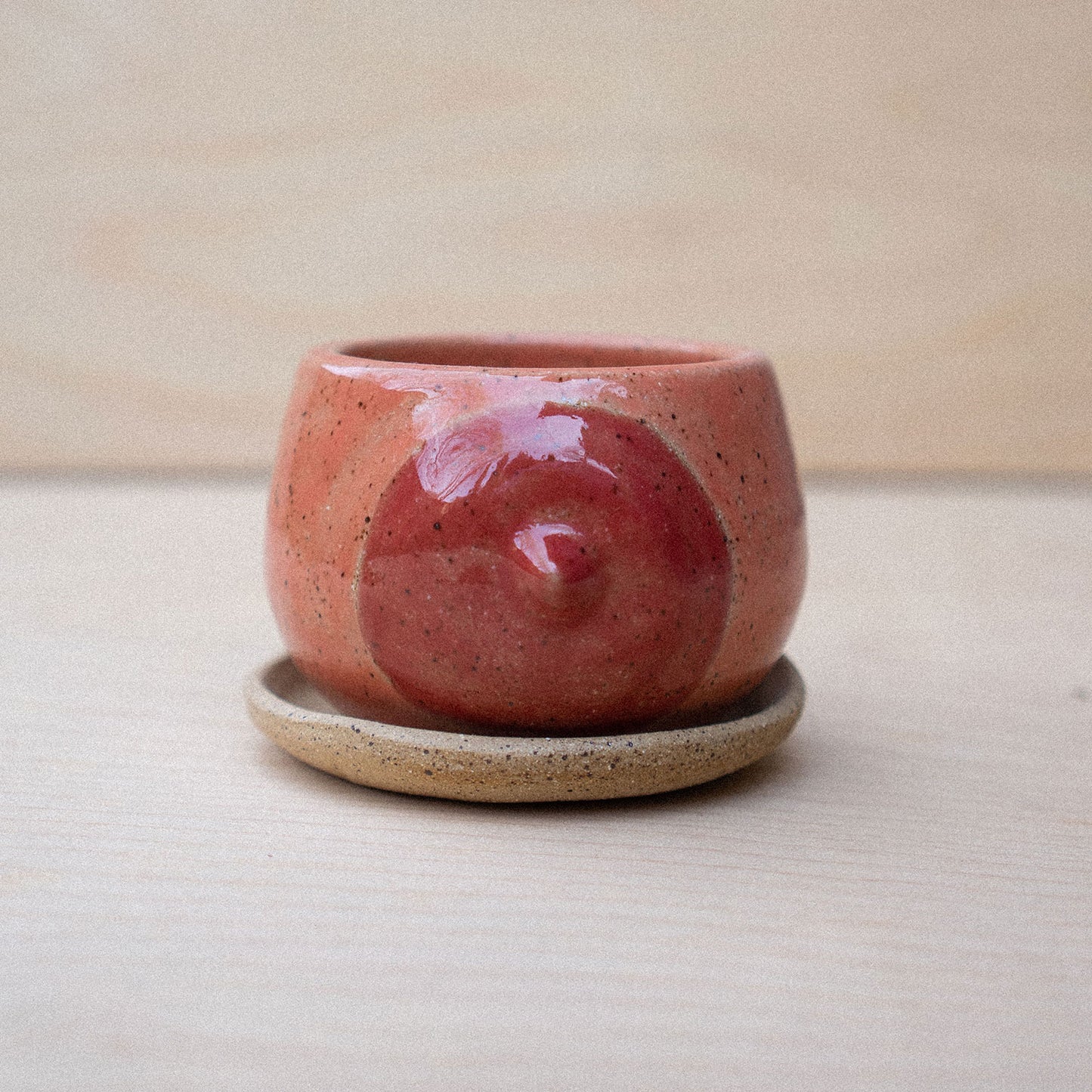 itty bitty titty planter 03