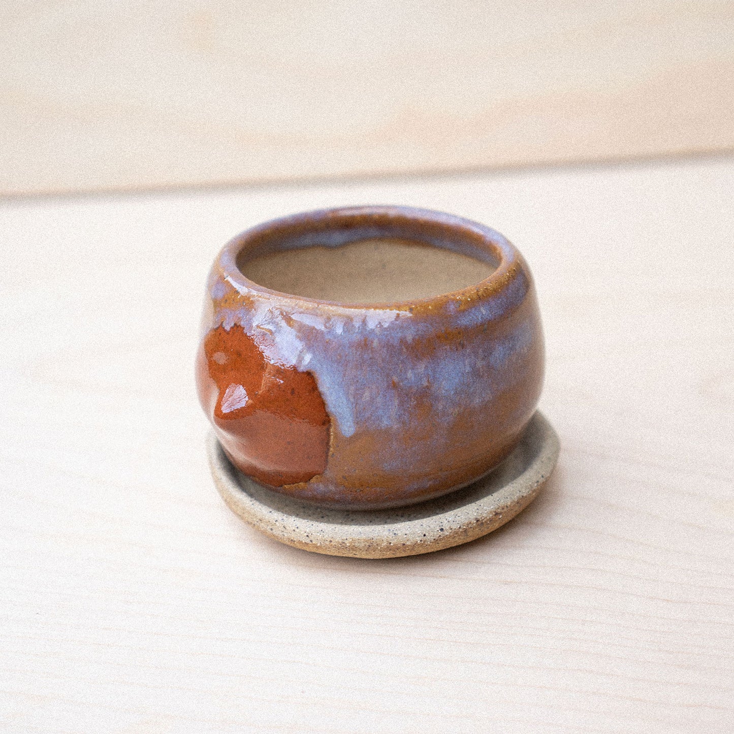 itty bitty titty planter 05