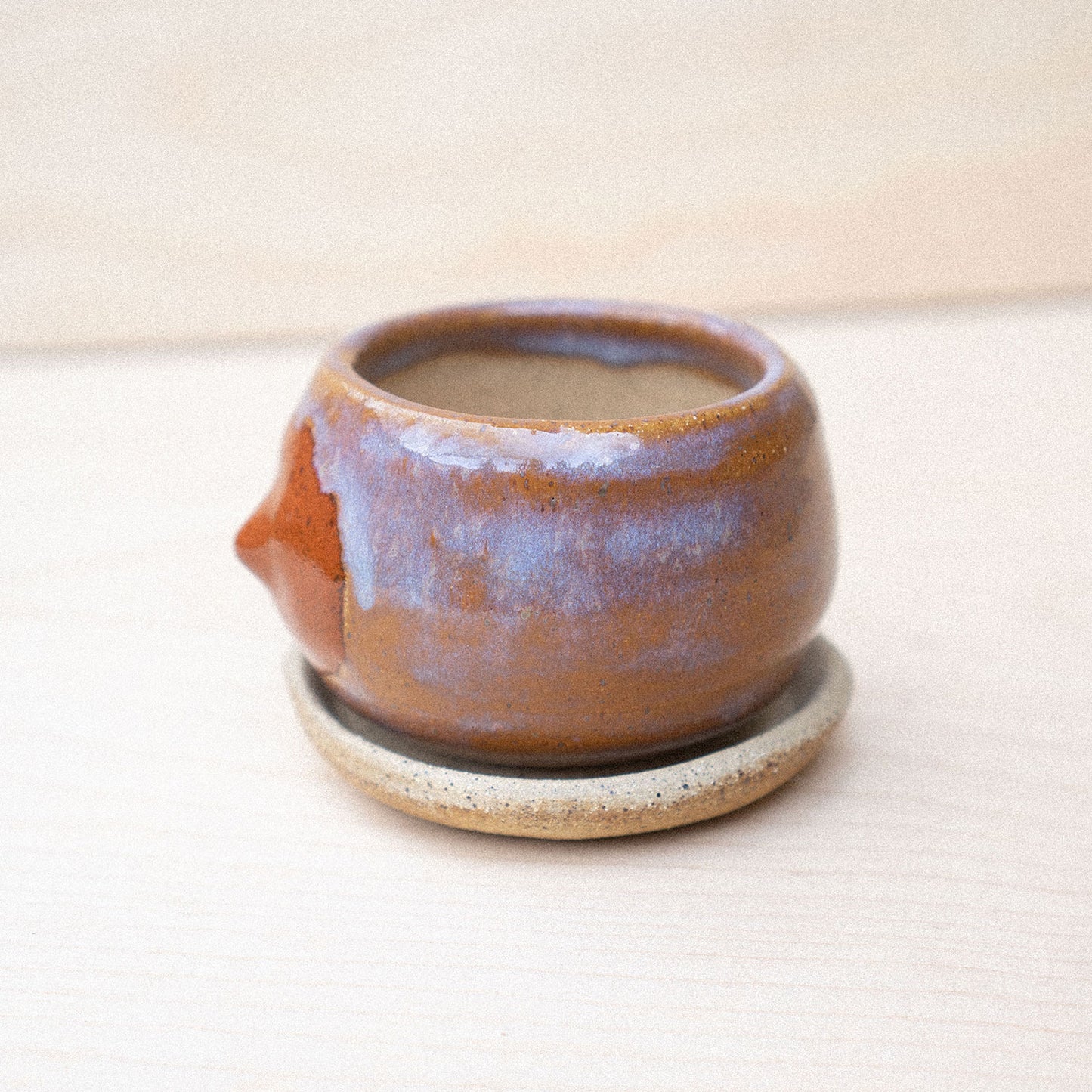 itty bitty titty planter 05