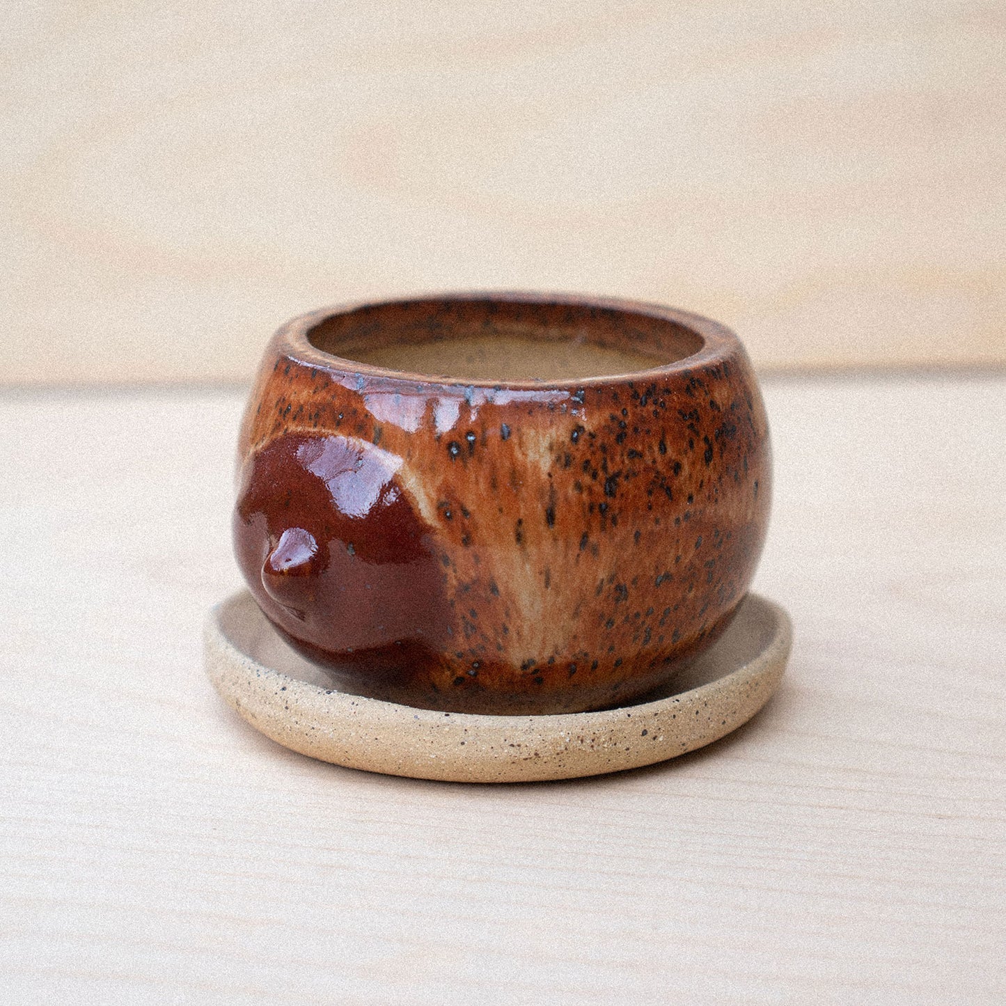 itty bitty titty planter 06