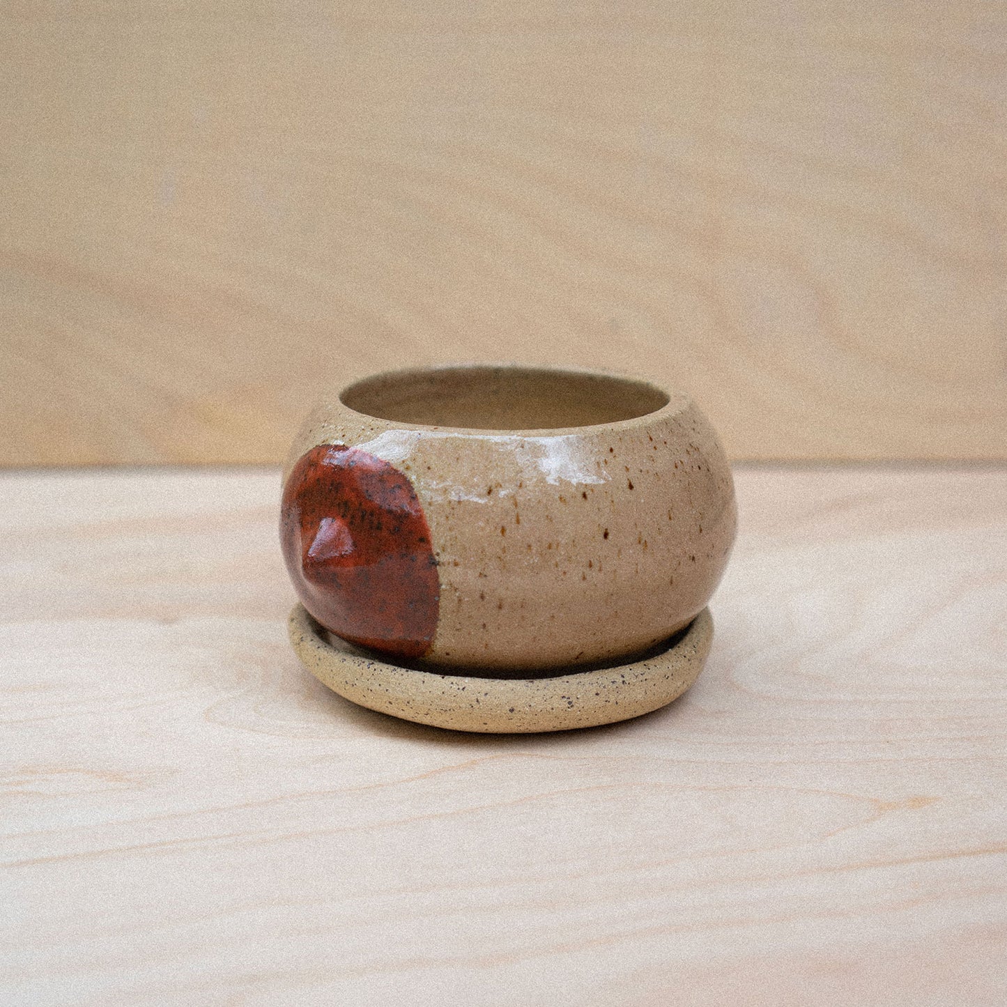 itty bitty titty planter 08