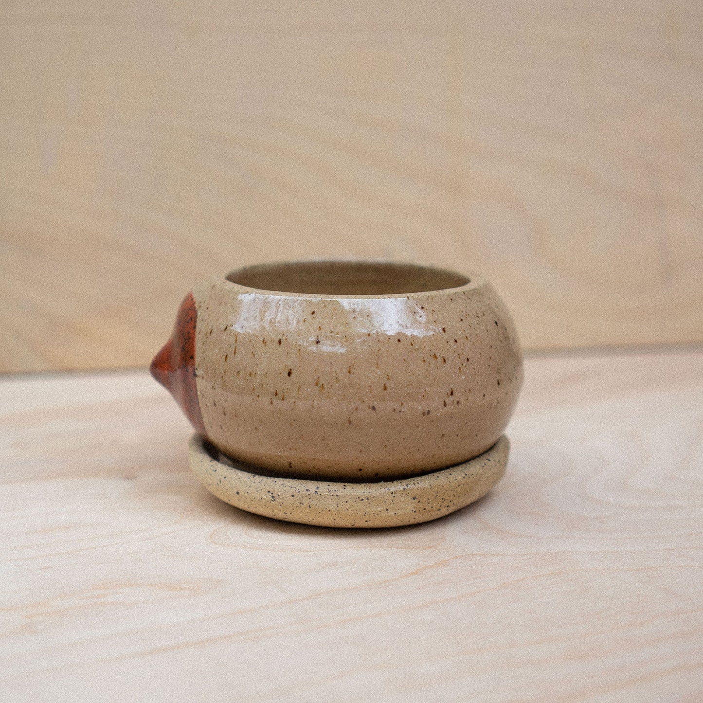 itty bitty titty planter 08