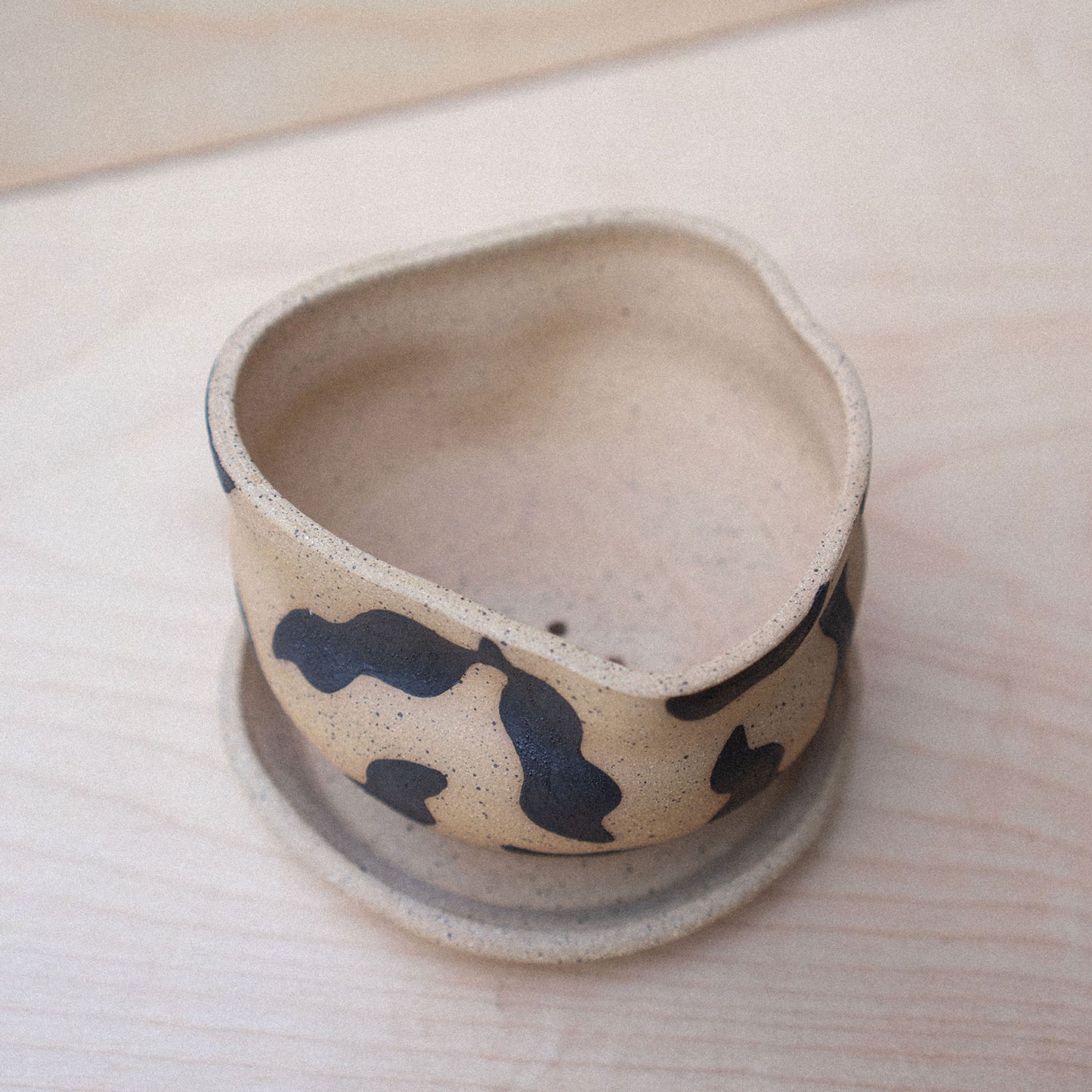planter 01