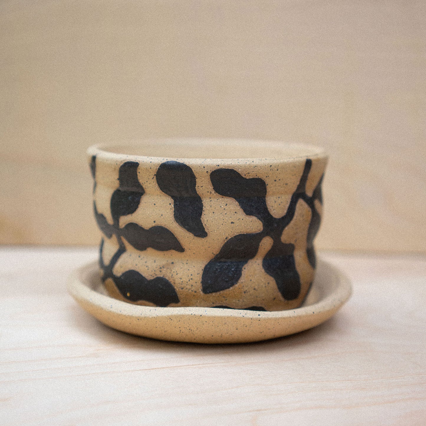 planter 05