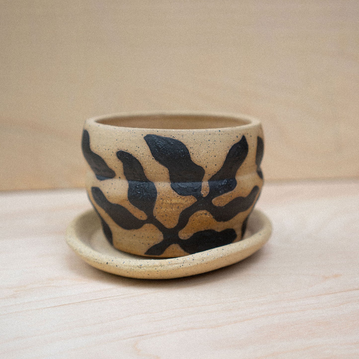 planter 06