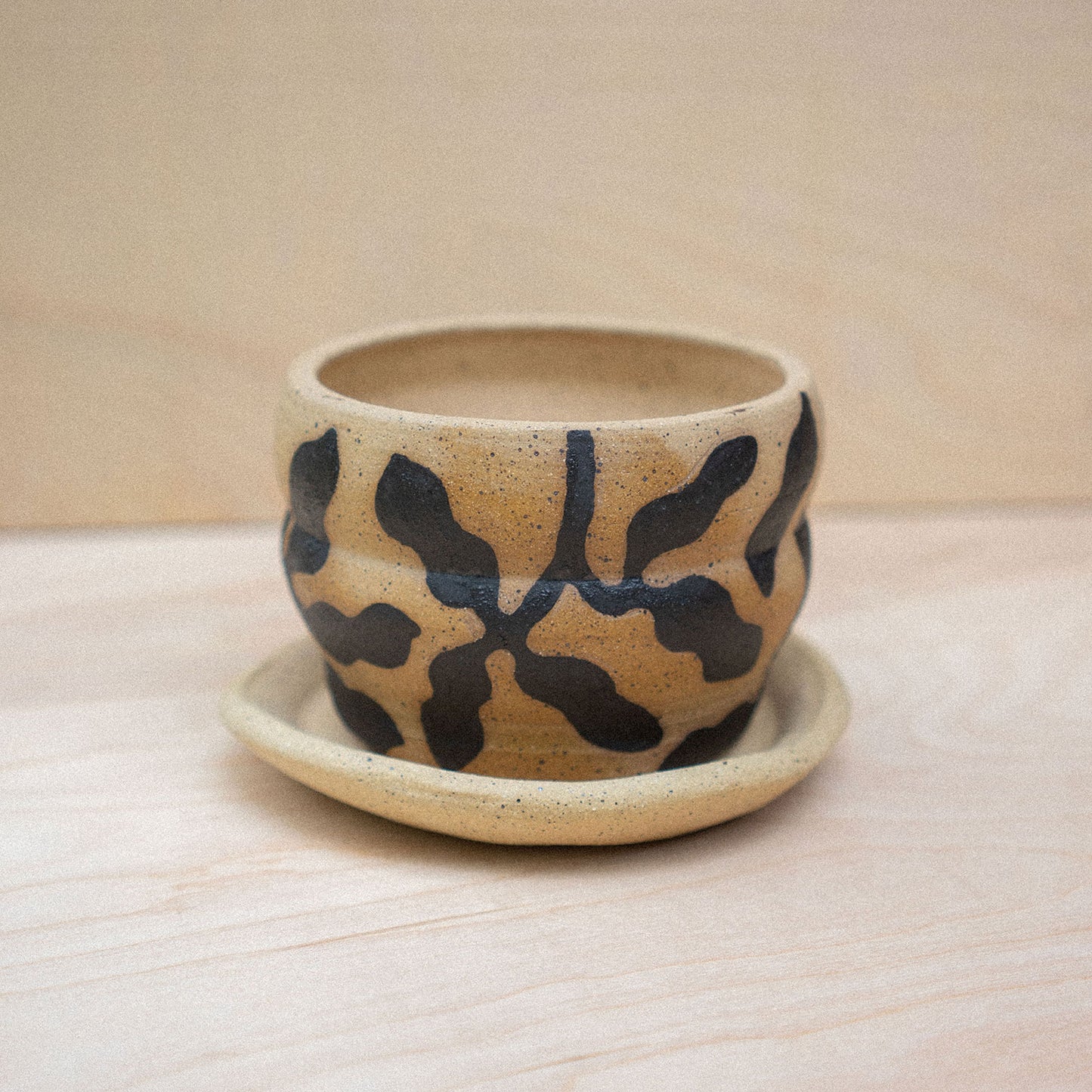 planter 06