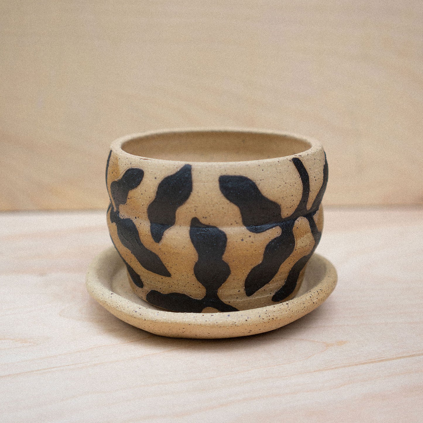 planter 06