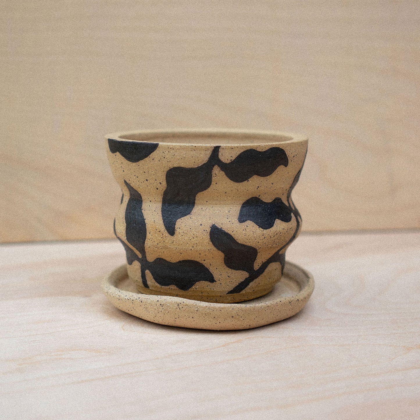 planter 07